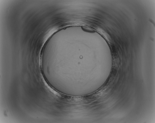 X0000097881095200804041608