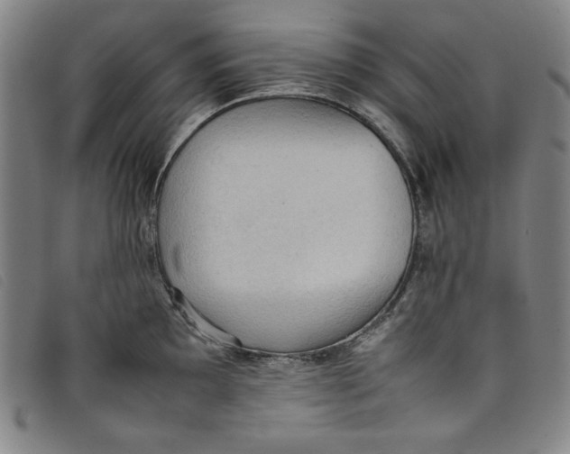 X0000097881097200804041608