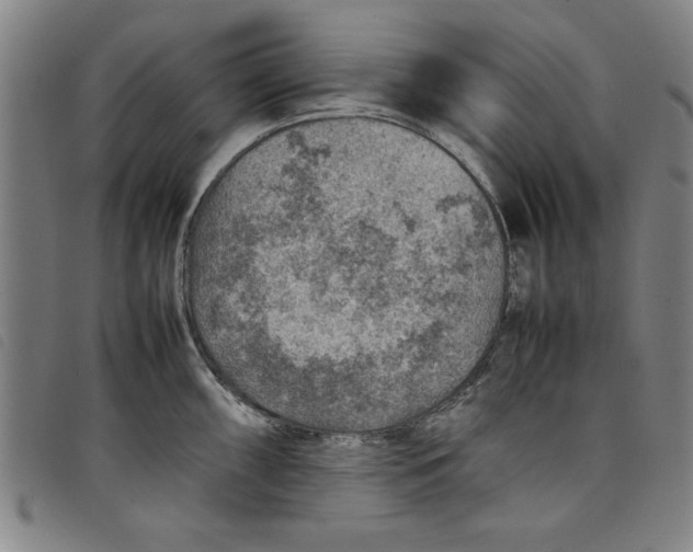 X0000097881098200804041608