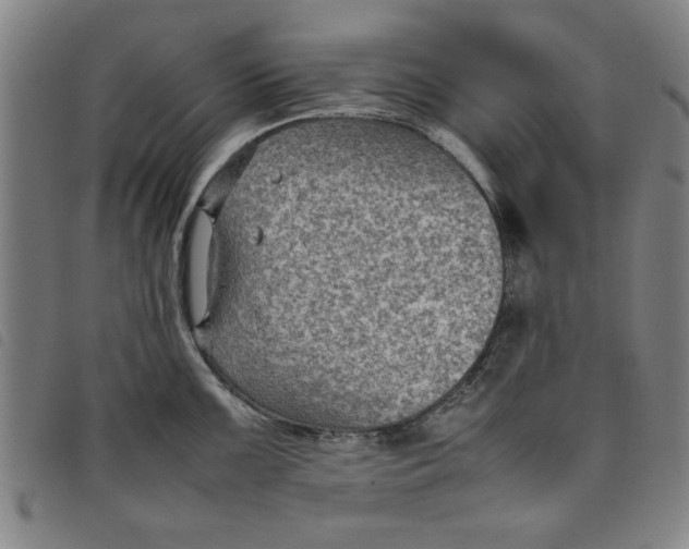 X0000097881099200804041608