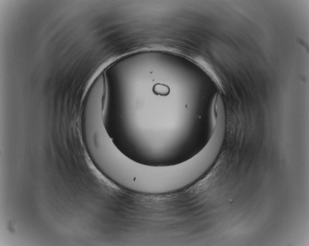 X0000097881100200804041608