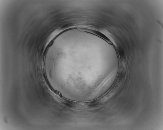 X0000097881101200804041608