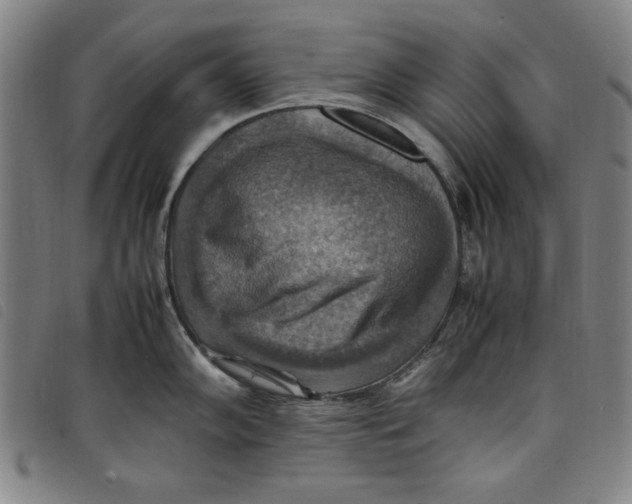 X0000097881102200804041608