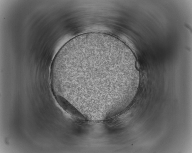 X0000097881103200804041608