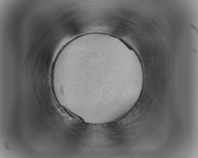 X0000097881104200804041608