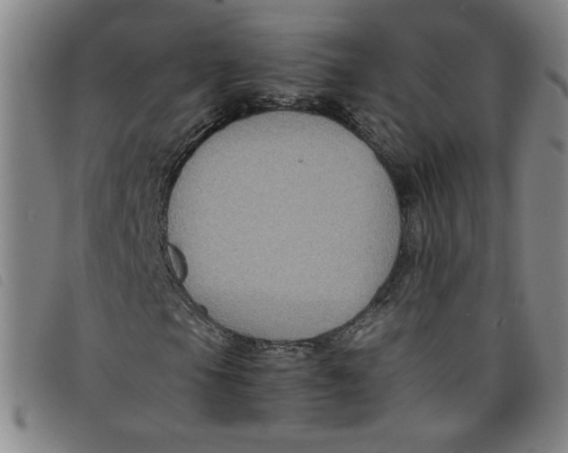 X0000097881105200804041607