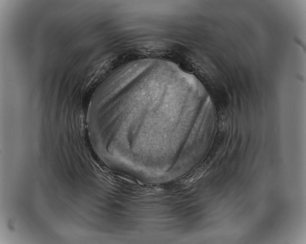 X0000097881108200804041607