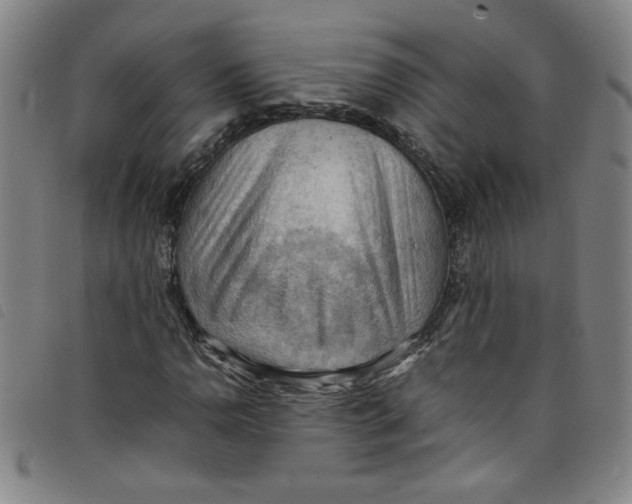 X0000097881110200804041607