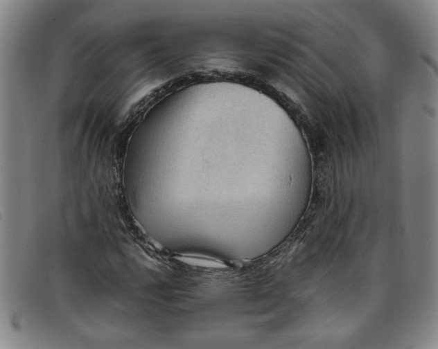 X0000097881112200804041607