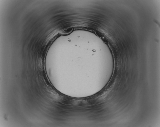 X0000097881113200804041607