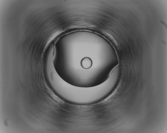 X0000097881114200804041607