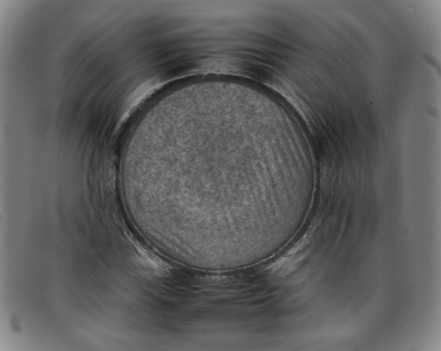 X0000097881115200804041607