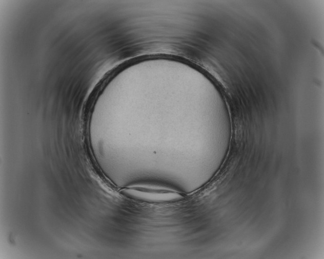 X0000097881116200804041607