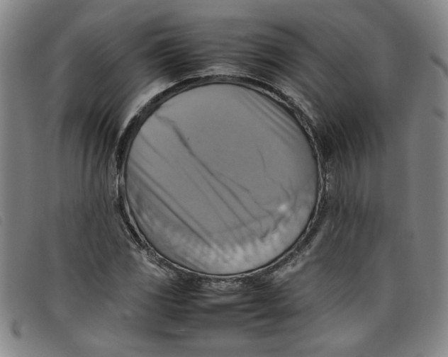 X0000097881117200804041607