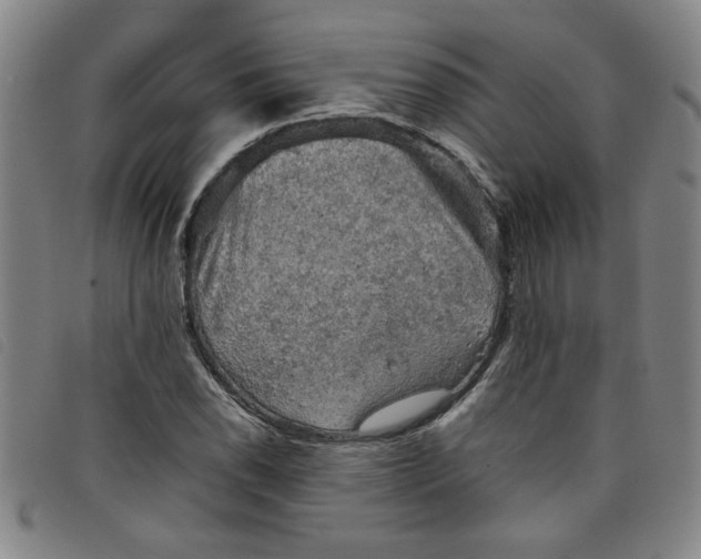 X0000097881118200804041607