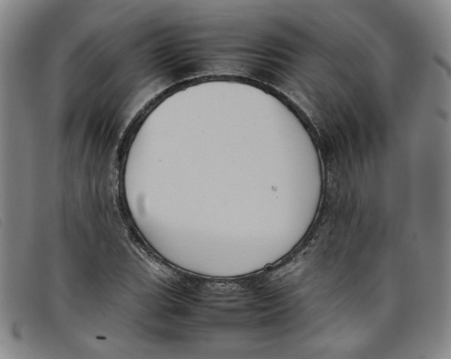 X0000097881119200804041607