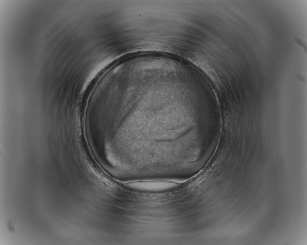 X0000097881120200804041607