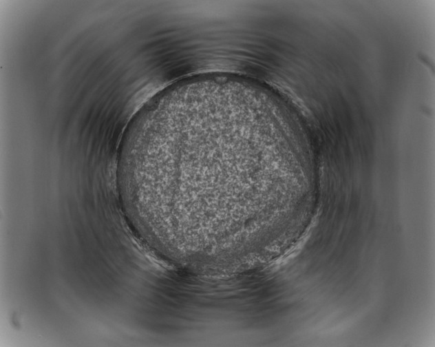 X0000097881121200804041607