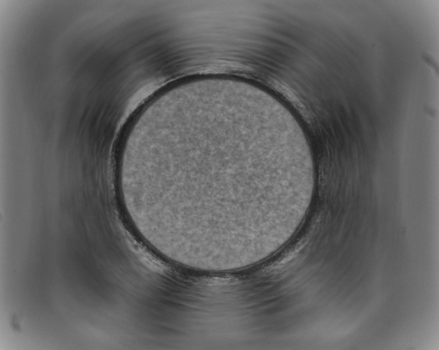 X0000097881122200804041607