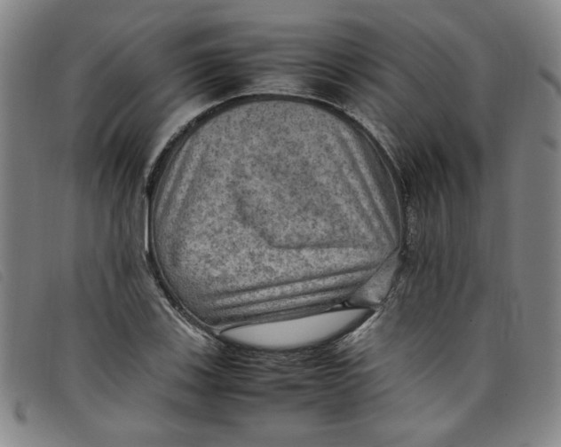 X0000097881123200804041607