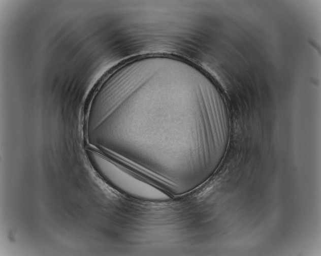 X0000097881124200804041607