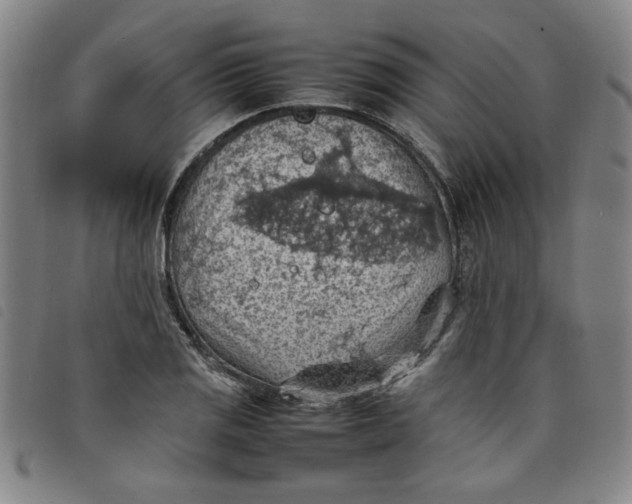 X0000097881125200804041607