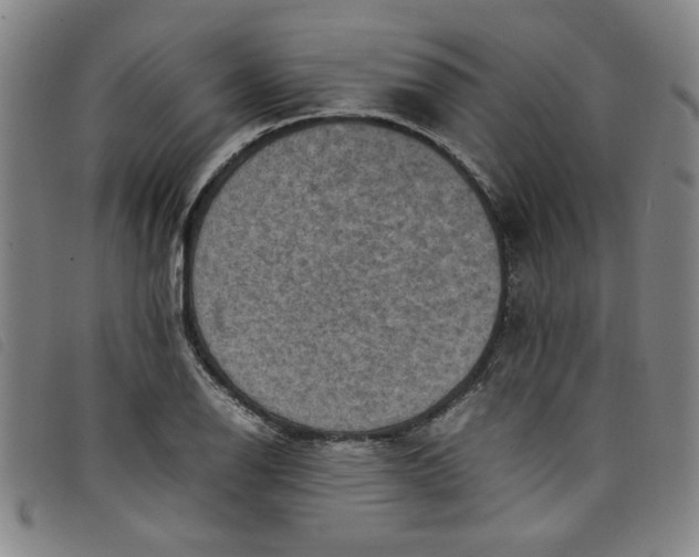 X0000097881126200804041607