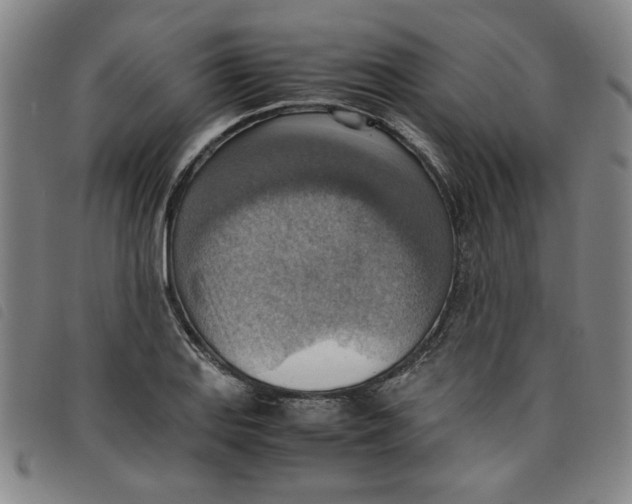 X0000097881127200804041607