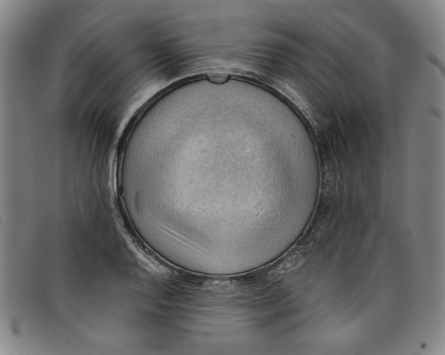 X0000097881128200804041607