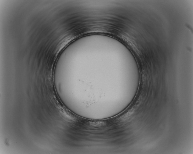 X0000097881129200804041608