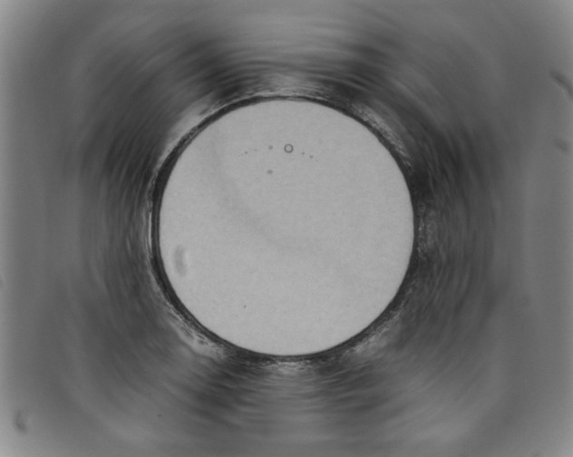 X0000097881130200804041608