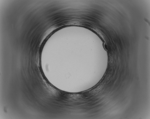 X0000097881131200804041608