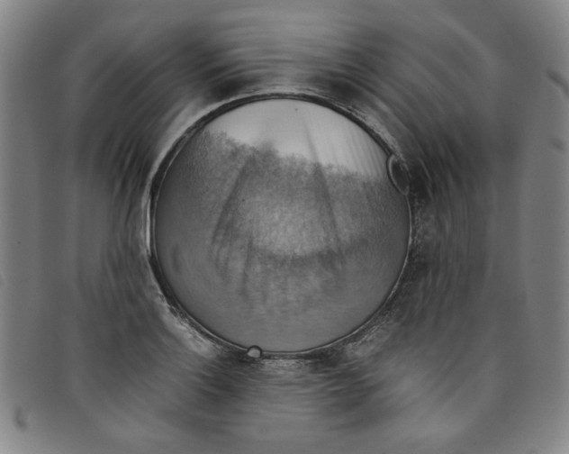 X0000097881132200804041608