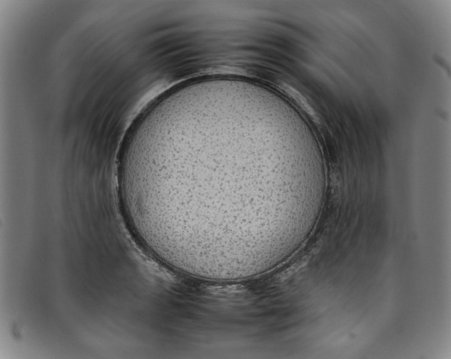 X0000097881133200804041608