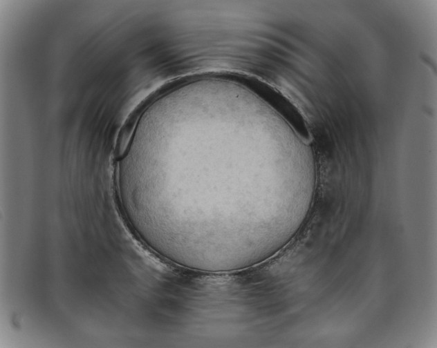 X0000097881134200804041608