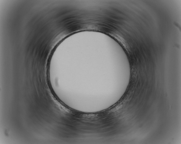 X0000097881135200804041608