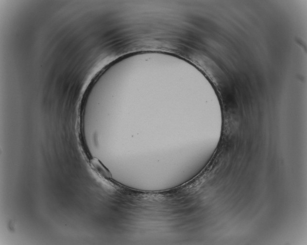 X0000097881136200804041608