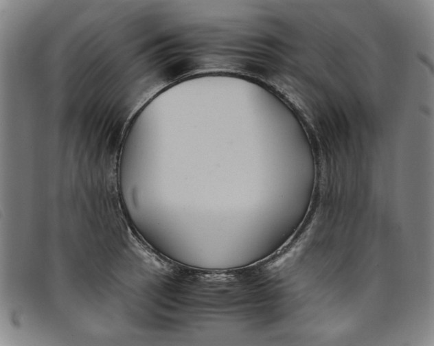 X0000097881137200804041608