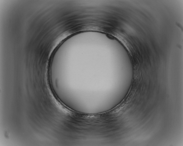 X0000097881139200804041608