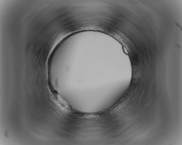 X0000097881140200804041608