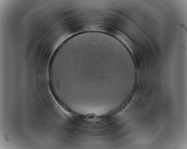 X0000097881141200804041608