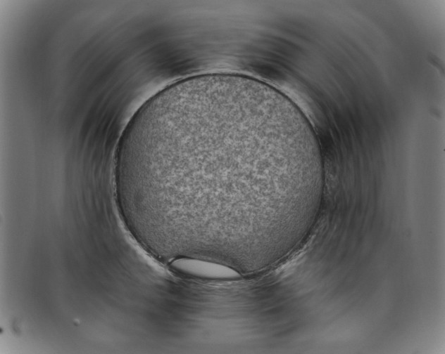 X0000097881142200804041608