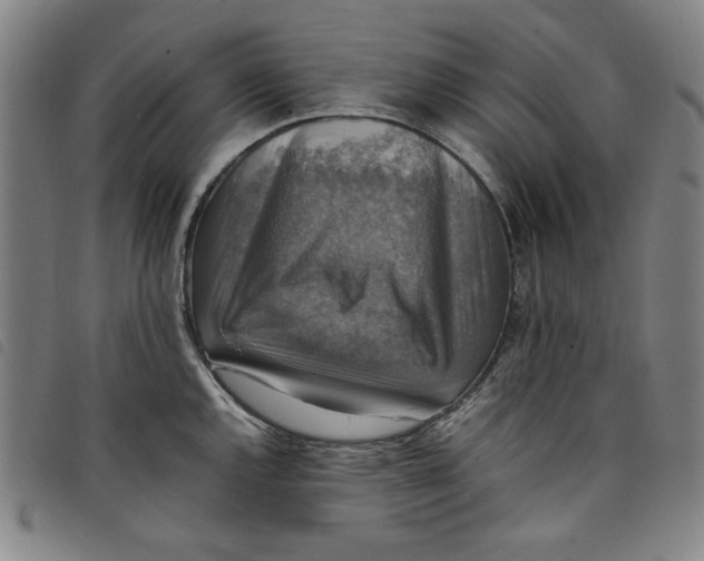 X0000097881144200804041608