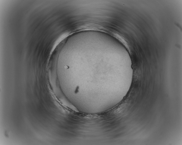 X0000097881146200804041608