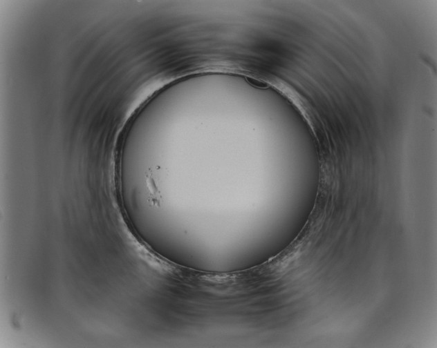 X0000097881147200804041608