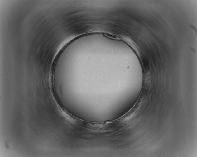 X0000097881149200804041608