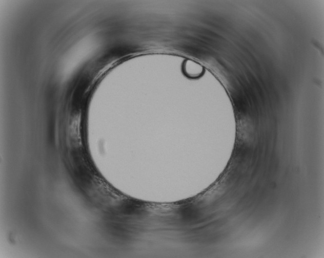 X0000097881150200804041608