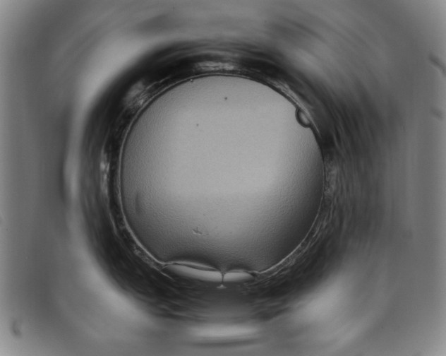 X0000097881151200804041608