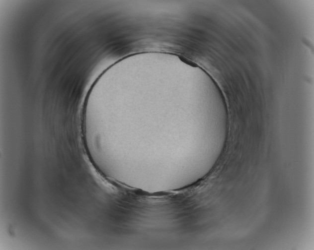 X0000097881152200804041608