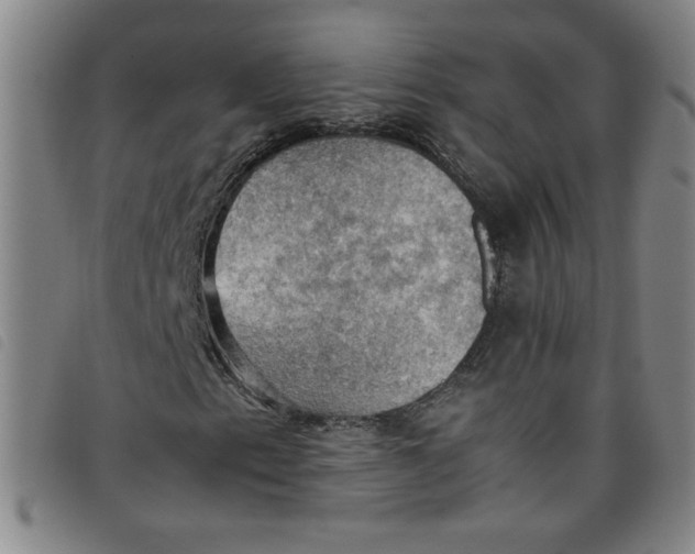 X0000097881153200804041607